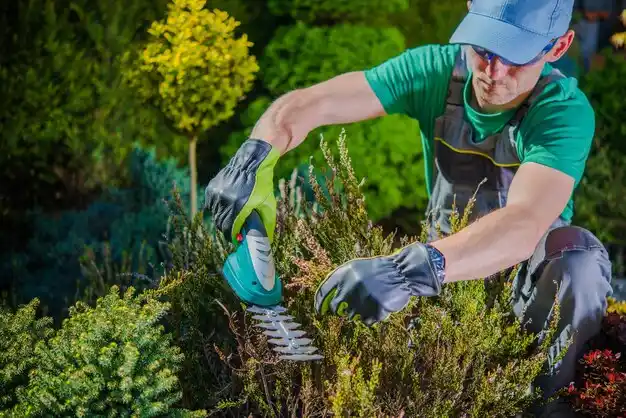 landscaping services Port Vincent
